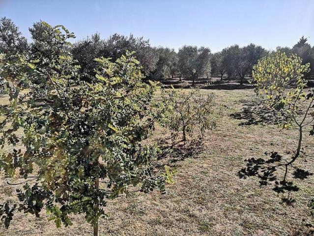 Rustico / Casale in vendita a Gioia del Colle BA