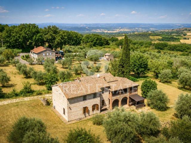 Rustico / Casale in vendita a Giove TR