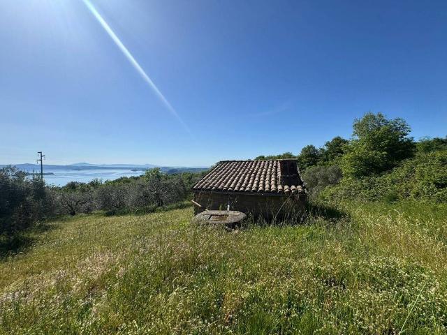 Rustico / Casale in vendita a Gradoli VT