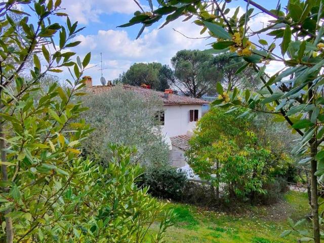 Rustico / Casale in vendita a Greve in Chianti FI
