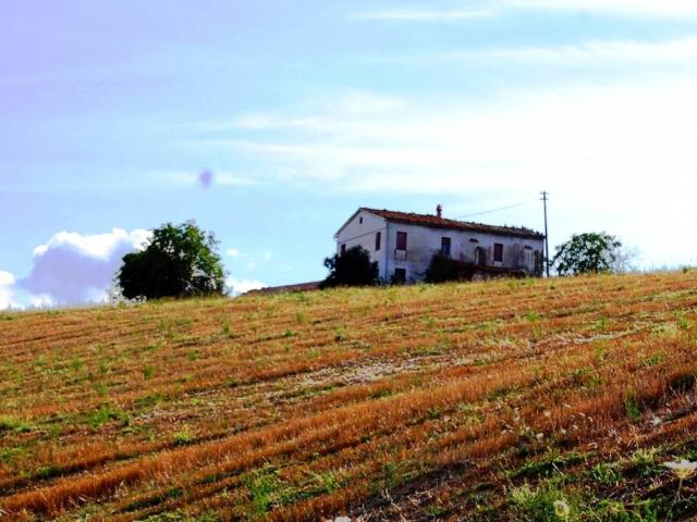 Rustico / Casale in vendita a Gualdo MC