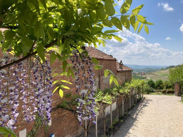 Rustico / Casale in vendita a Guarene CN