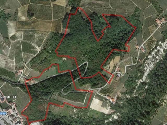 Rustico / Casale in vendita a Dogliani CN