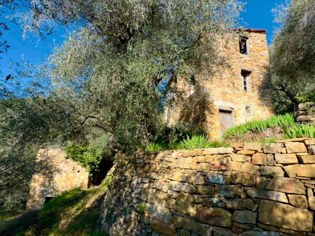 Rustico / Casale in vendita a Dolceacqua IM