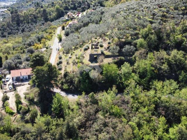 Rustico / Casale in vendita a Dolceacqua IM