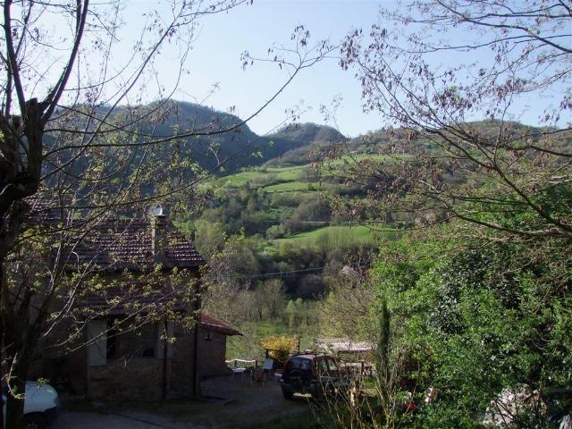 Rustico / Casale in vendita a Dicomano FI