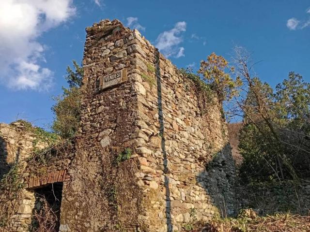 Rustico / Casale in vendita a Dumenza VA