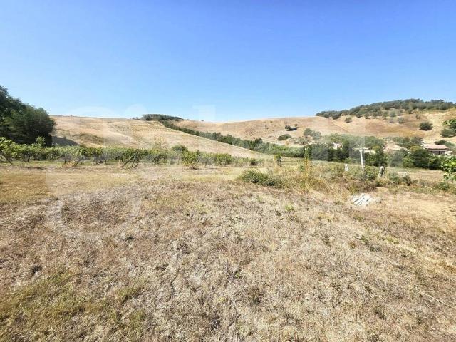 Rustico / Casale in vendita a Empoli FI