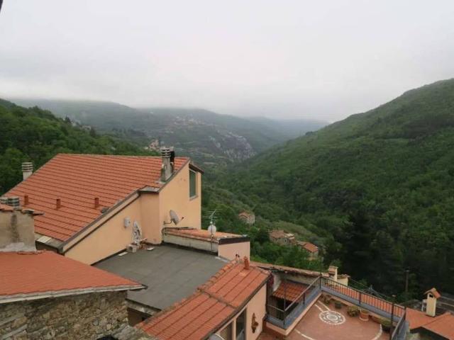 Rustico / Casale in vendita a Erli SV