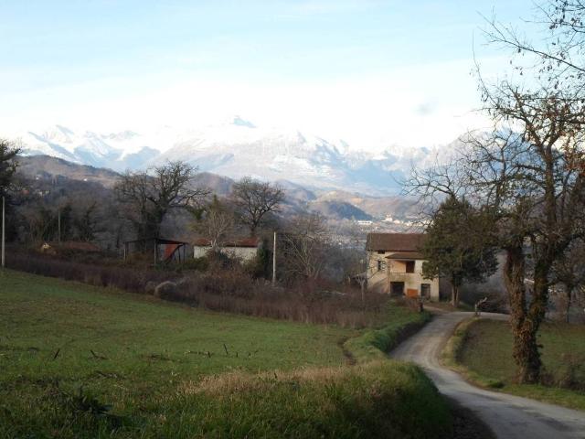 Rustico / Casale in vendita a Force AP