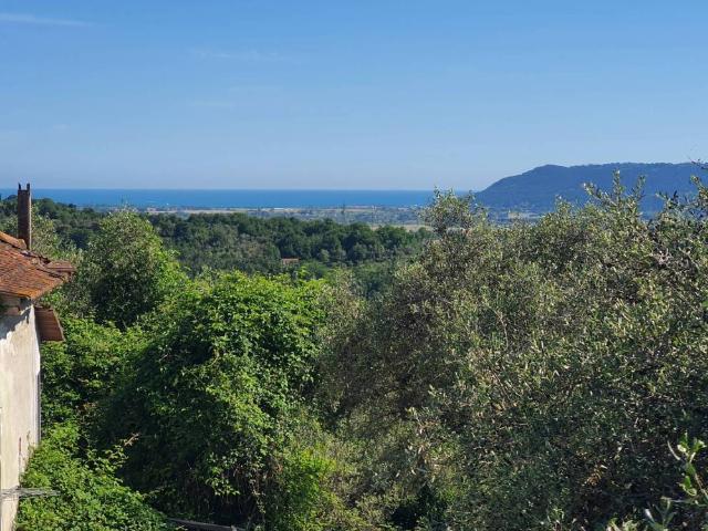 Rustico / Casale in vendita a Fosdinovo MS