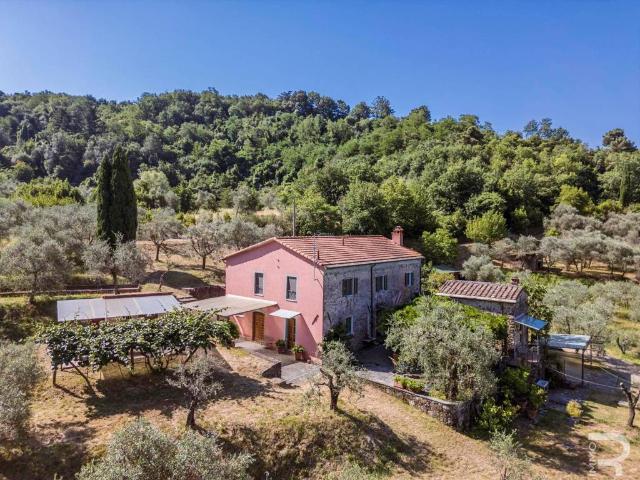 Rustico / Casale in vendita a Fosdinovo MS