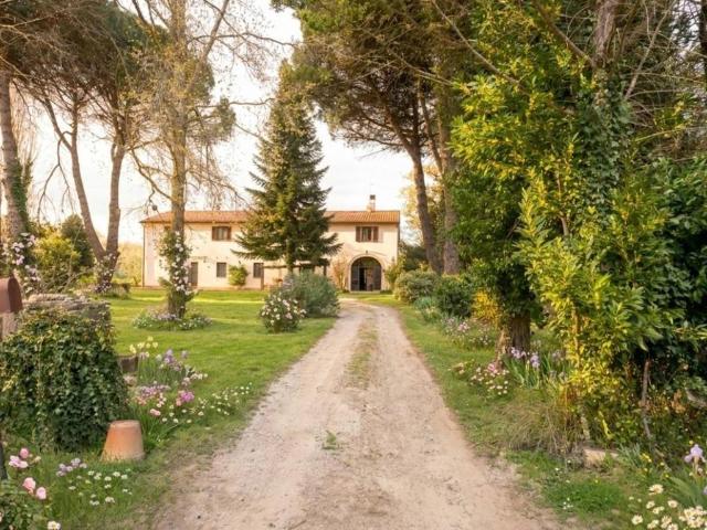 Rustico / Casale in vendita a Fauglia PI
