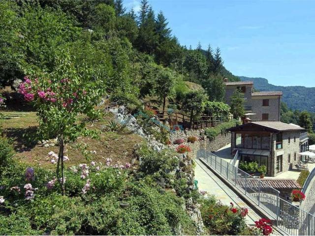Rustico / Casale in vendita a Fabbriche di Vergemoli LU