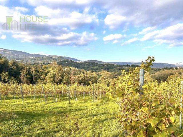 Rustico / Casale in vendita a Fara Vicentino VI