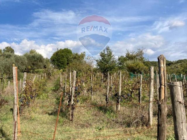 Rustico / Casale in vendita a Felitto SA