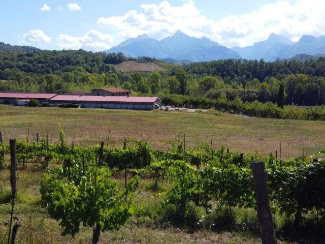 Rustico / Casale in vendita a Fivizzano MS