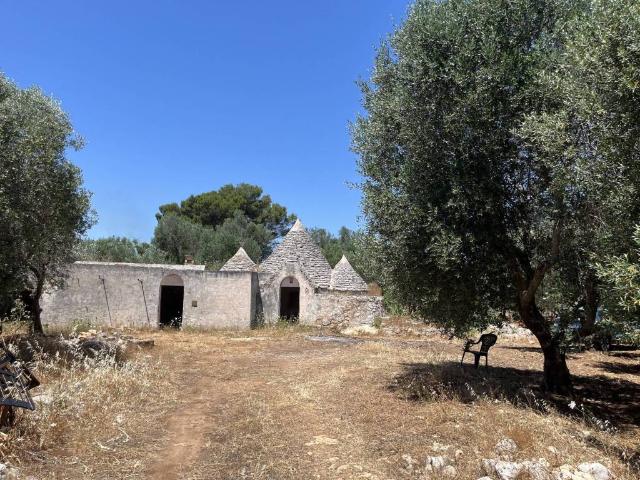 Rustico / Casale in vendita a Francavilla Fontana BR