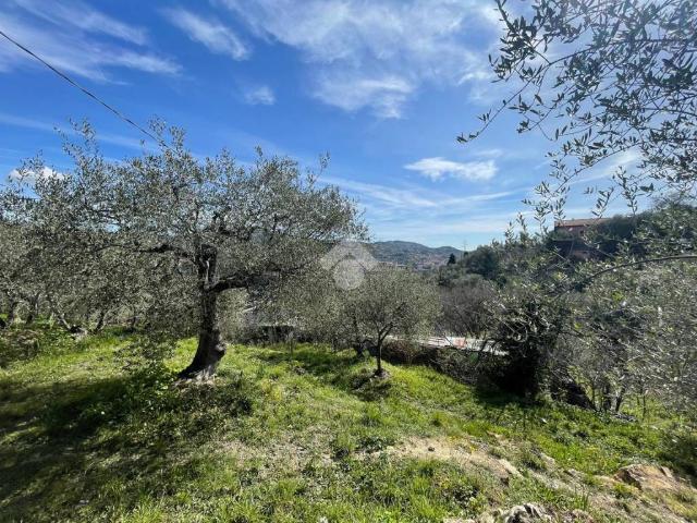 Rustico / Casale in vendita a Imperia IM