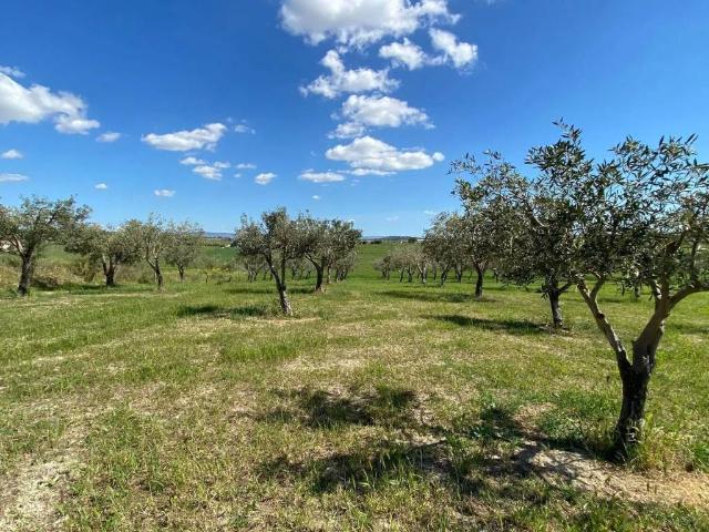 Rustico / Casale in vendita a Ispica RG