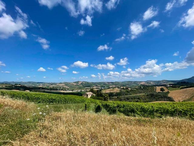 Rustico / Casale in vendita a Offida AP