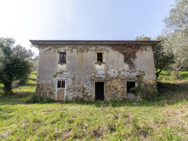 Rustico / Casale in vendita a Ogliastro Cilento SA
