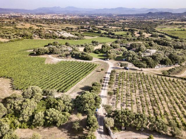 Rustico / Casale in vendita a Olbia SS