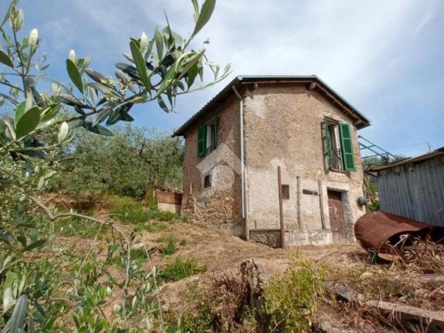 Rustico / Casale in vendita a Olevano Romano RM