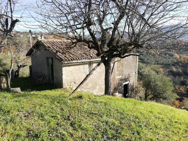 Rustico / Casale in vendita a Olevano Romano RM