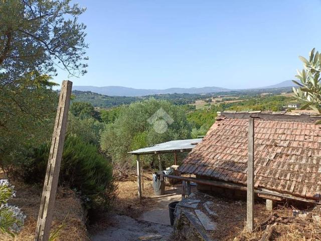 Rustico / Casale in vendita a Olevano Romano RM