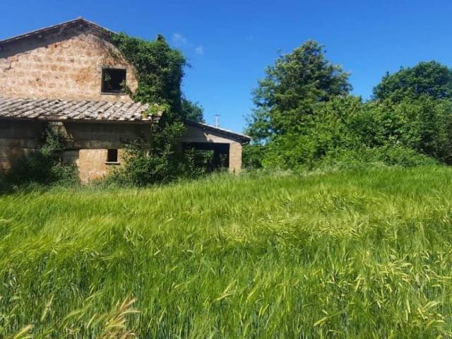 Rustico / Casale in vendita a Orvieto TR