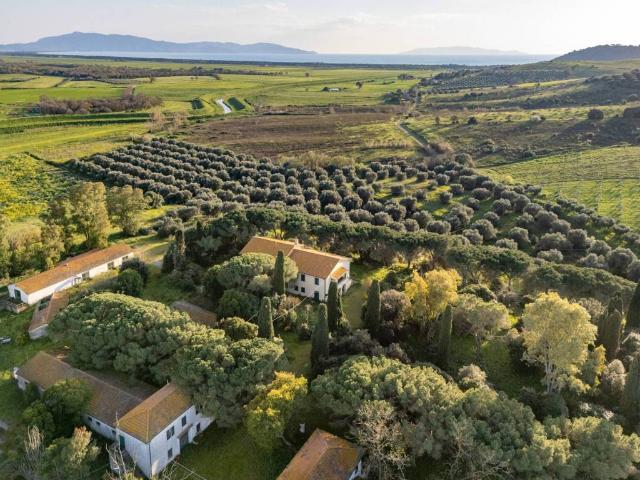Rustico / Casale in vendita a Orbetello GR