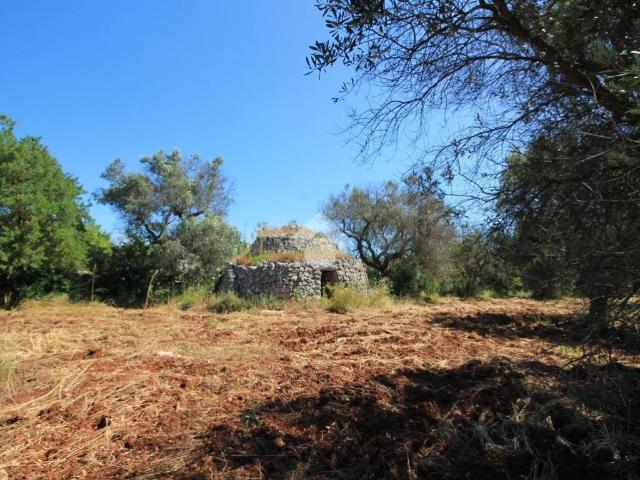 Rustico / Casale in vendita a Ostuni BR