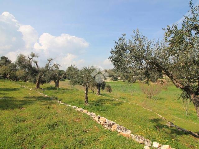 Rustico / Casale in vendita a Ostuni BR