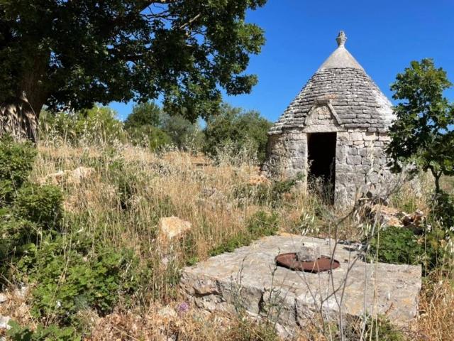 Rustico / Casale in vendita a Ostuni BR