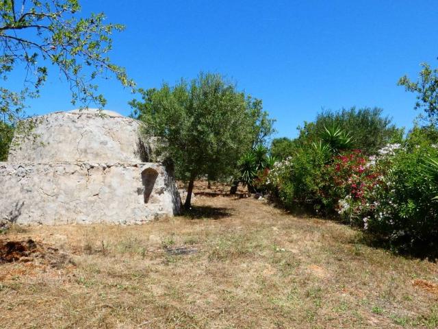 Rustico / Casale in vendita a Ostuni BR