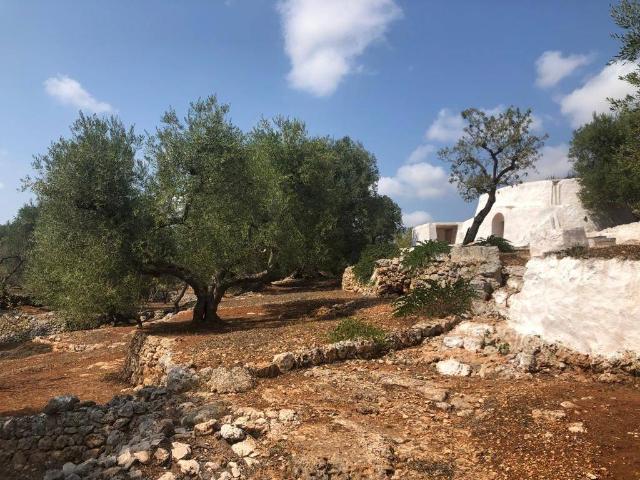 Rustico / Casale in vendita a Ostuni BR