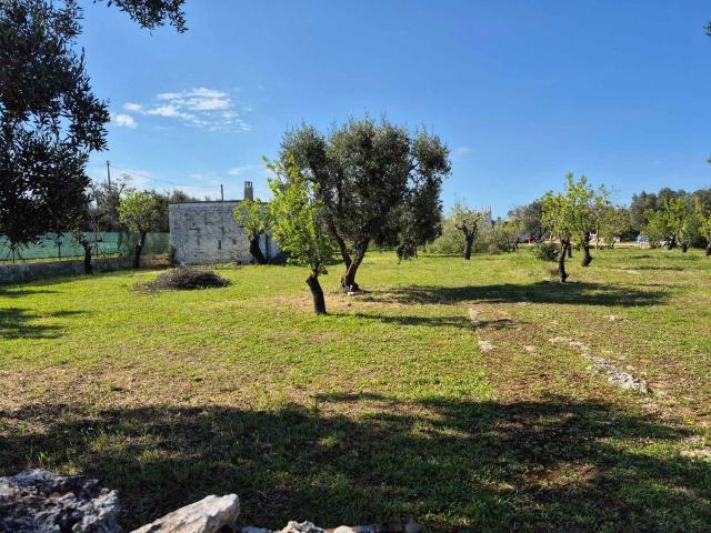 Rustico / Casale in vendita a Ostuni BR