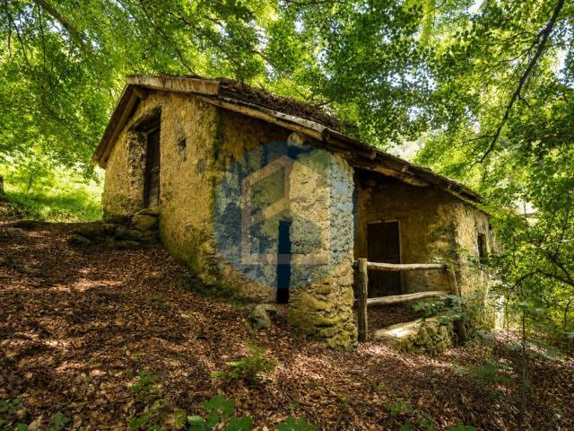 Rustico / Casale in vendita a Lozio BS