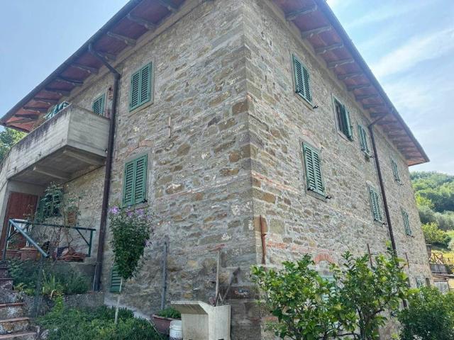Rustico / Casale in vendita a Londa FI