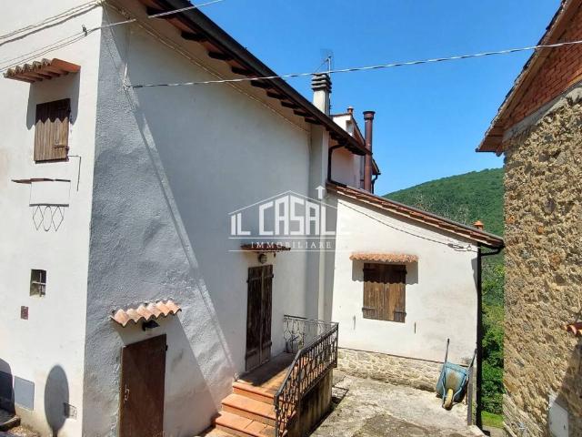 Rustico / Casale in vendita a Londa FI