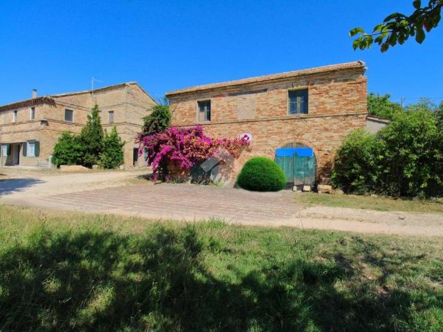 Rustico / Casale in vendita a Loreto AN