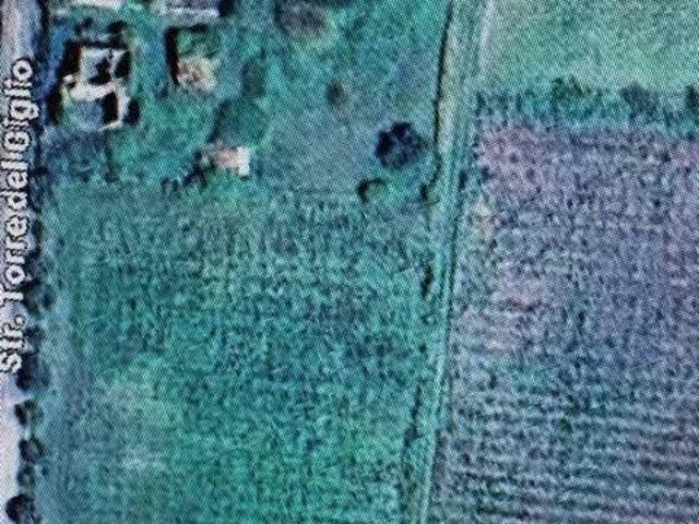 Rustico / Casale in vendita a Latina LT