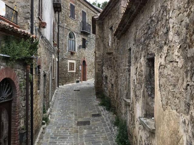 Rustico / Casale in vendita a Laureana Cilento SA