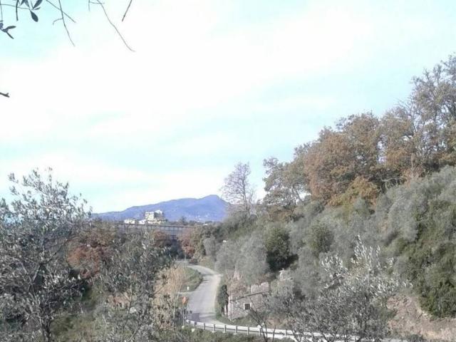 Rustico / Casale in vendita a Lavagna GE