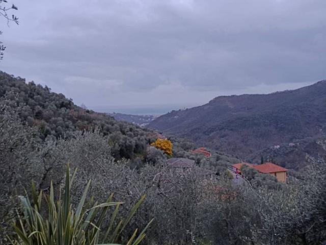 Rustico / Casale in vendita a Leivi GE