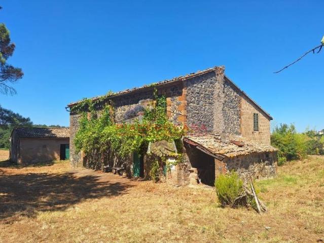 Rustico / Casale in vendita a Lubriano VT