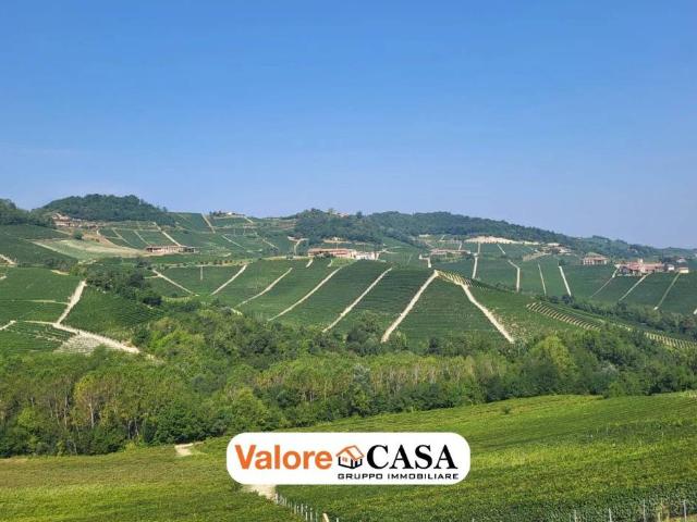 Rustico / Casale in vendita a Monforte d'Alba CN