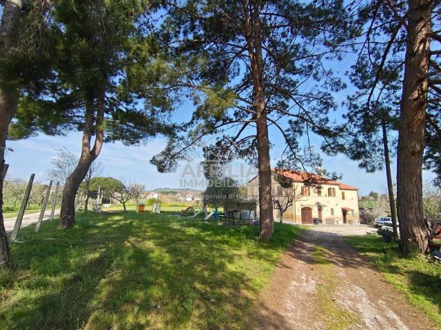Rustico / Casale in vendita a Monsano AN