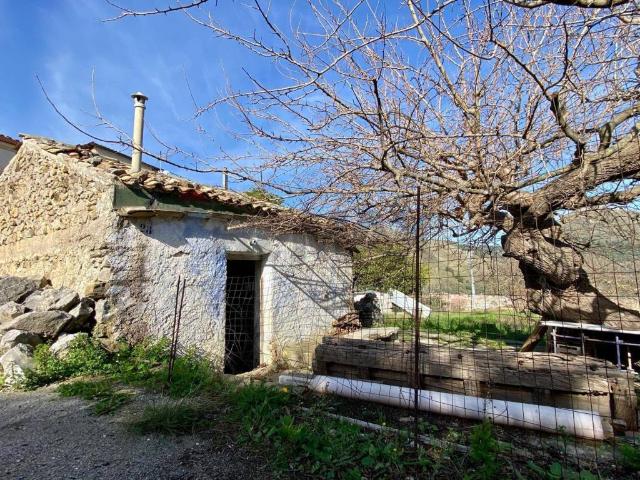 Rustico / Casale in vendita a Monreale PA